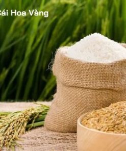 Rượu nếp cái hoa vàng