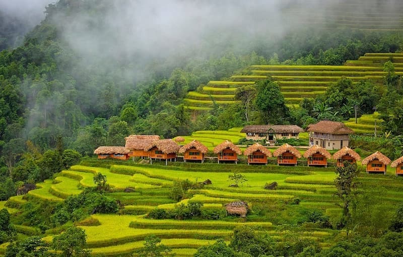 Du lịch Hà Giang vào mùa lúa xanh và lúa chín