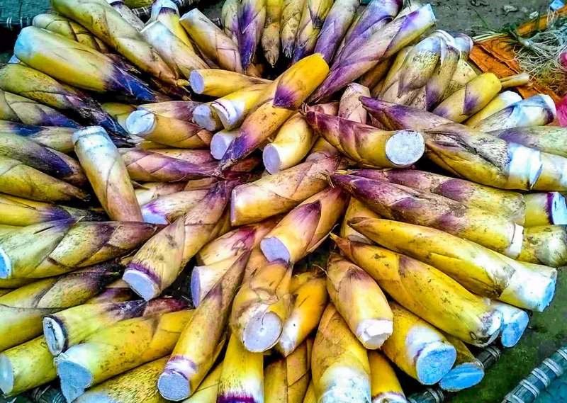 Nguyên liệu chính để làm măng đắng xào tỏi