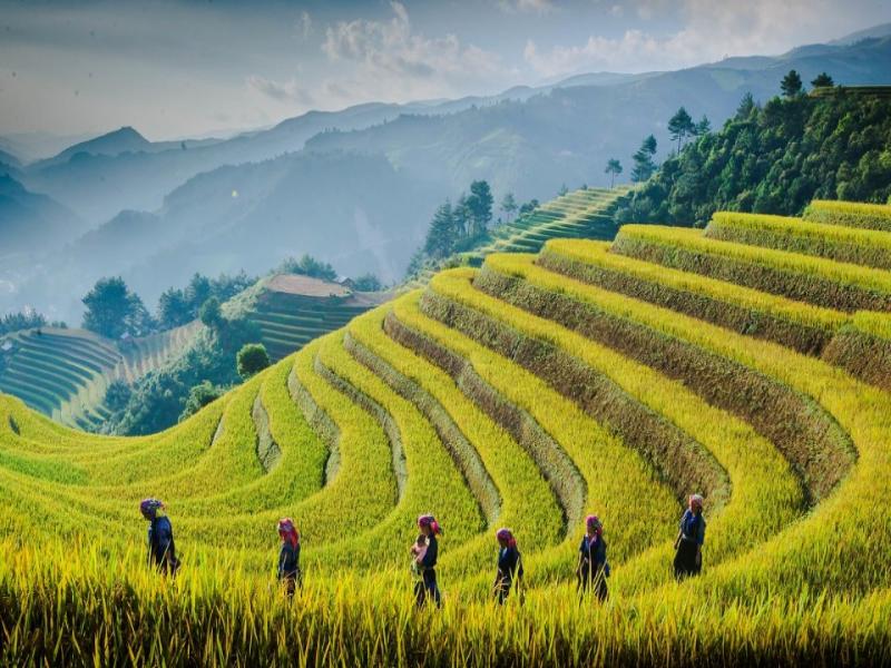 Mù Cang Chải là địa điểm nổi bật của Yên Bái