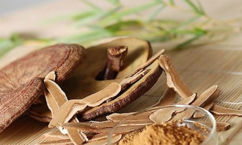 Nấm linh chi hỗ trợ chống ung thư