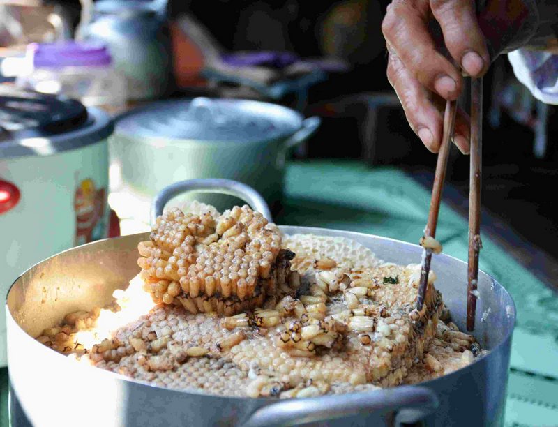 Nhộng ong rừngngâm rượu có tác dụng bổ trợ gân cốt rất tốt