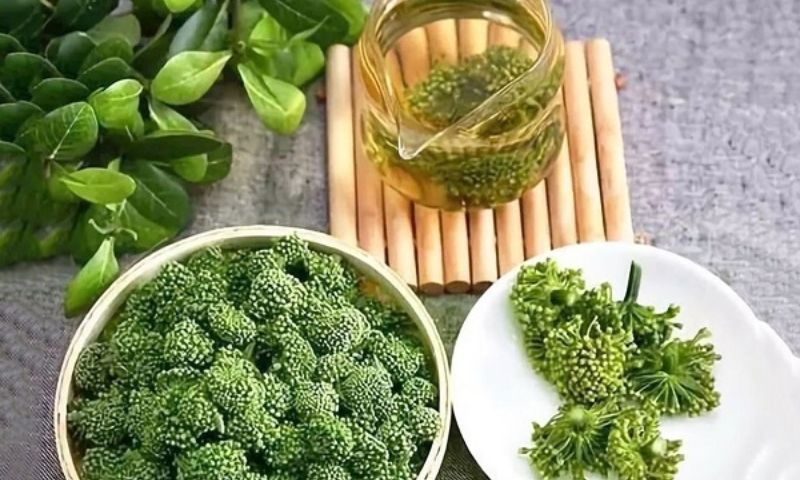 Tác dụng tuyệt vời từ nụ tam thất 