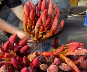 Cách Dùng Nấm Ngọc Cẩu Cho Phụ Nữ, Lợi Ích Sức Khỏe
