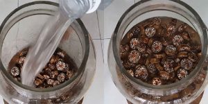 Rửa sạch bình thủy tinh với nước sôi, sau đó lau khô hoàn toàn