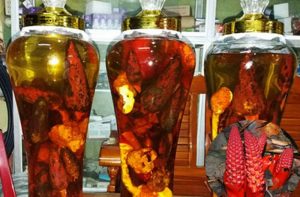 Cách Ngâm Rượu Nấm Ngọc Cẩu Chuẩn Nhất, Lưu ý Khi Ngâm Rượu