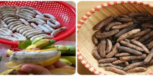 Chuối hột rừng chứa nhiều dưỡng chất