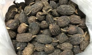 Thảo Quả Có Tác Dụng Gì? Công Dụng Trong Ẩm Thực Và Y Học