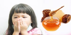 Tác dụng của mật ong rừng trong việc làm dịu cơn ho