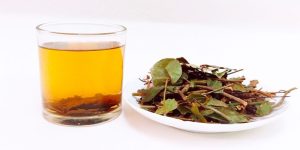 Chè vằng có thể hỗ trợ giảm cân ở mức độ nhất định