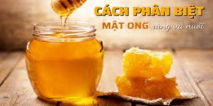 Cách phân biệt mật ong rừng và mật ong nuôi đa dạng