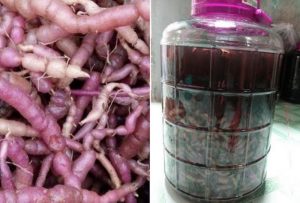 Rượu Ba Kích Bao Nhiêu Tiền 1 Lít​? Cách Chọn Rượu Ngon
