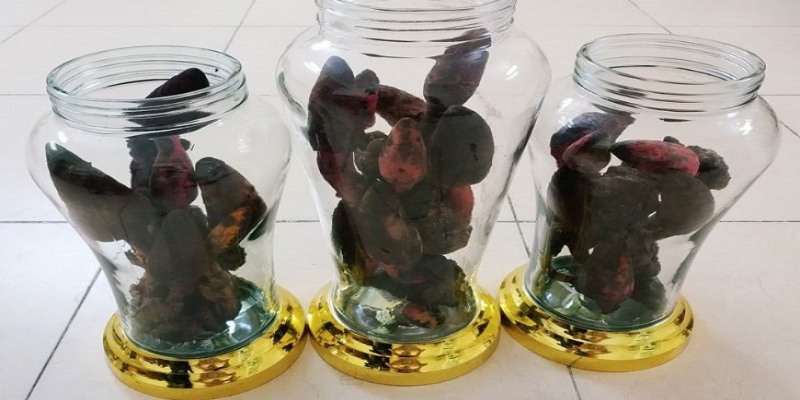 Hãy bảo quản rượu nấm ngọc cẩu đúng chuẩn