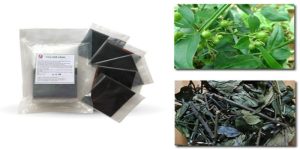 Chè vằng thường không gây mất ngủ nếu sử dụng đúng cách và đúng thời điểm