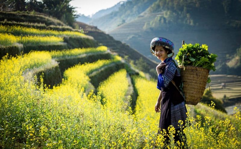 Tây Bắc, vùng đất bốn mùa với cảnh đẹp nên thơ tựa tranh vẽ
