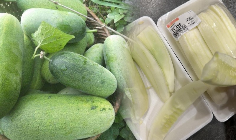 Salad dưa mèo