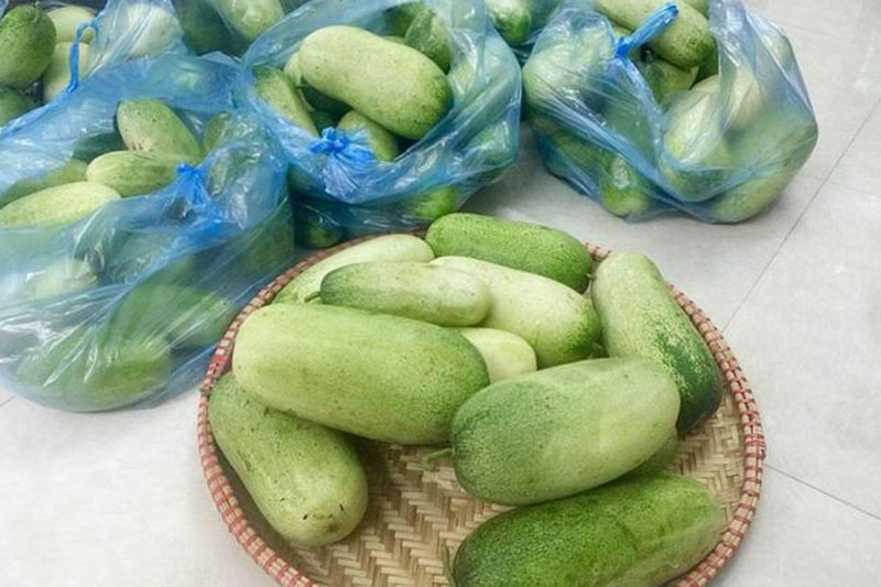 Chăm sóc và thu hoạch