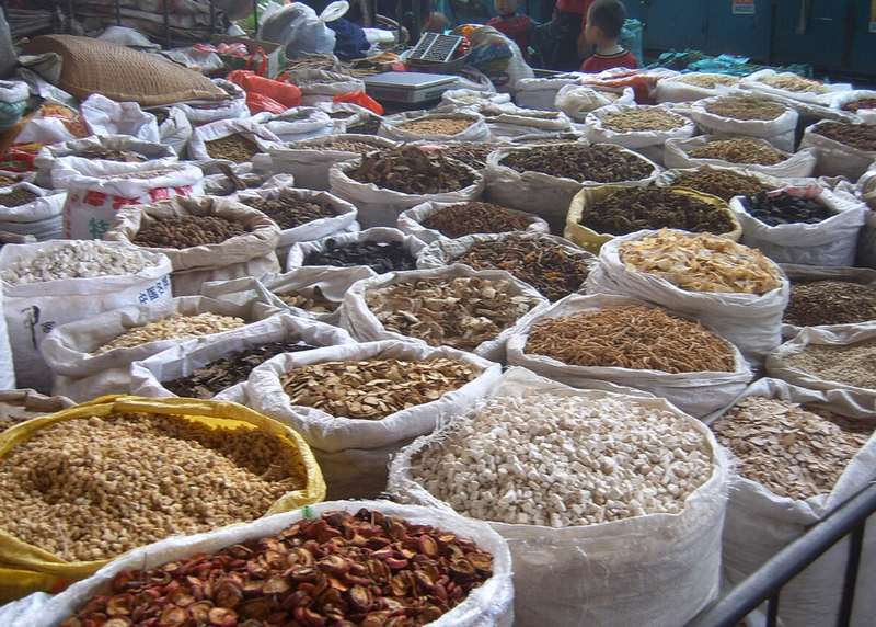 Những loại dược liệu Tây Bắc có lợi cho sức khỏe