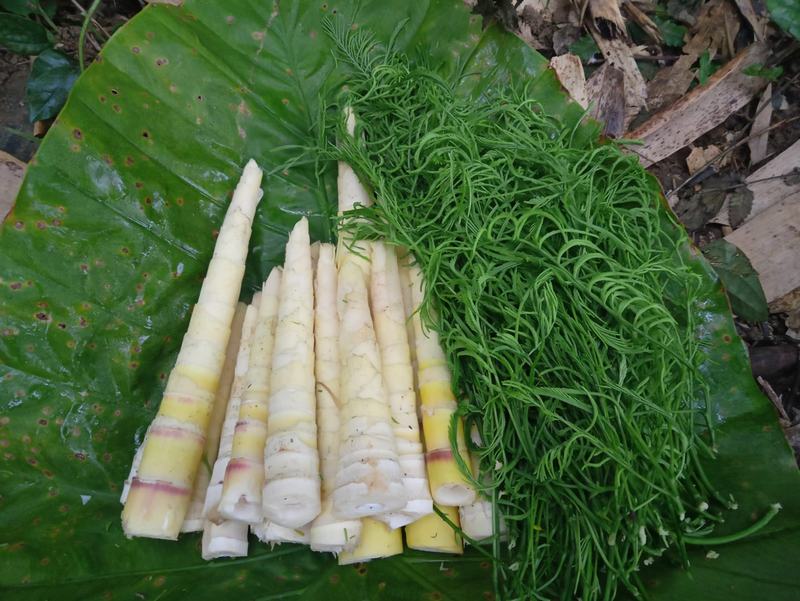 Cách chế biến rau thối thành những món ăn hấp dẫn