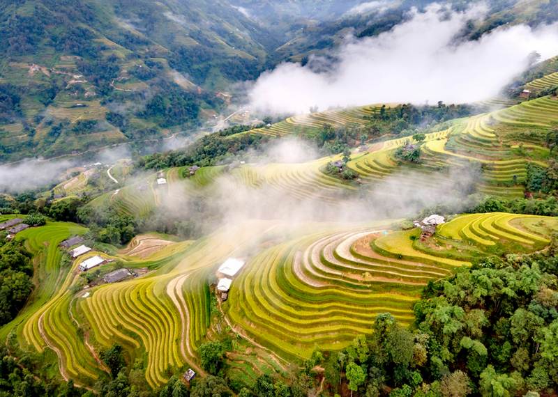 Nguồn gốc và lịch sử hình thành ruộng bậc thang