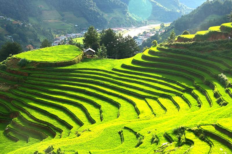 Mùa lúa xanh (tháng 7 - tháng 8)