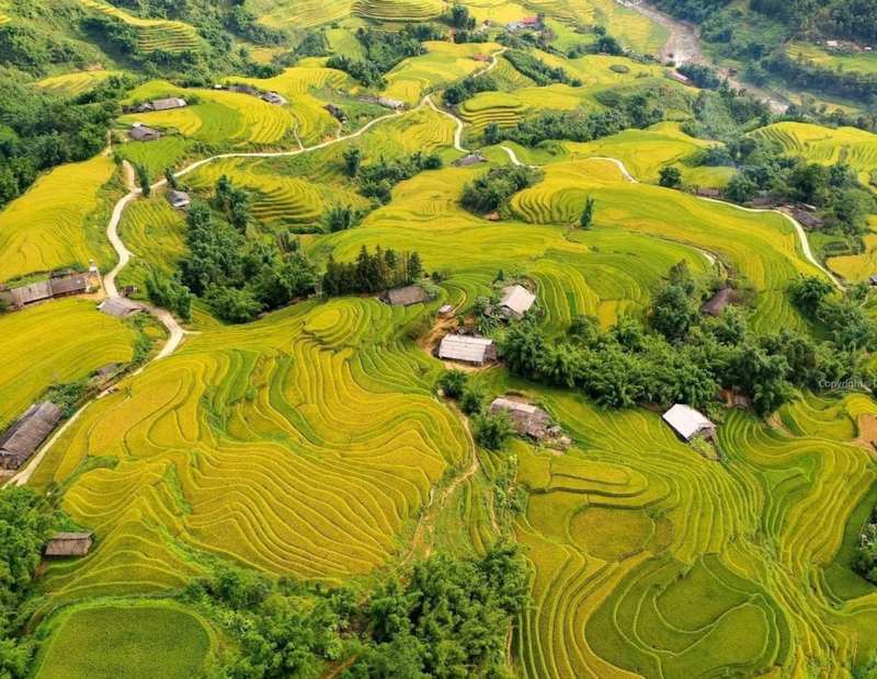 Ý nghĩa văn hóa và kinh tế của ruộng bậc thang