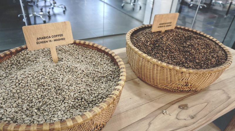Hương vị độc đáo của cà phê Tây Bắc