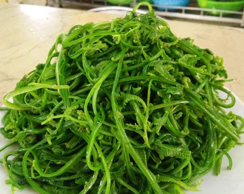 Các món ngon từ rau dớn được yêu thích