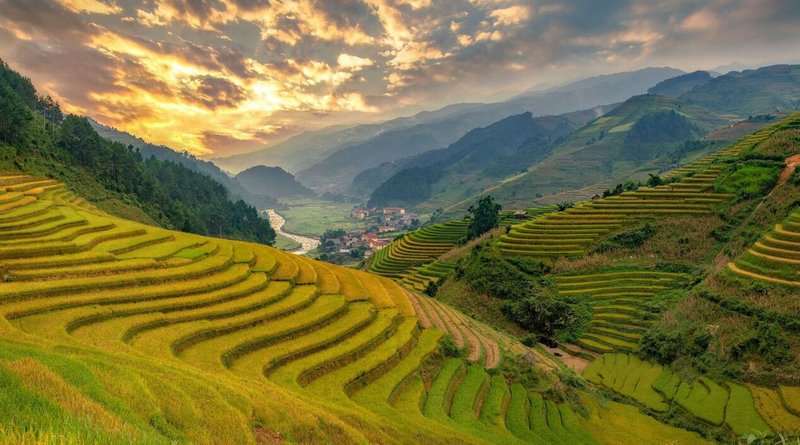 Ruộng bậc thang và mùa vàng Mù Cang Chải