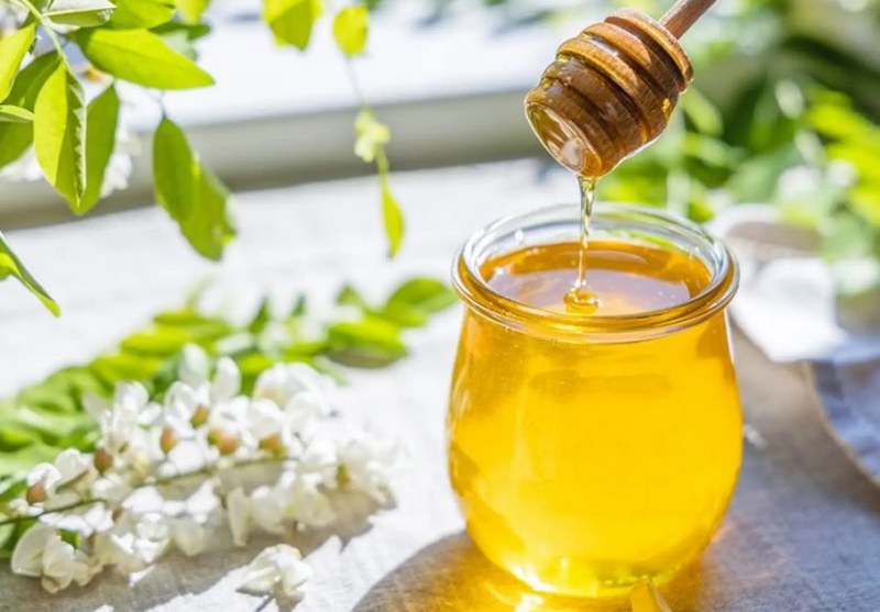 Mật ong ruồi đen, sản vật quý của thiên nhiên