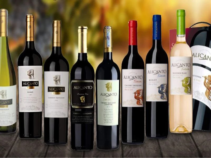 Rượu AK sở hữu kho rượu vang đa tầng trên toàn cầu