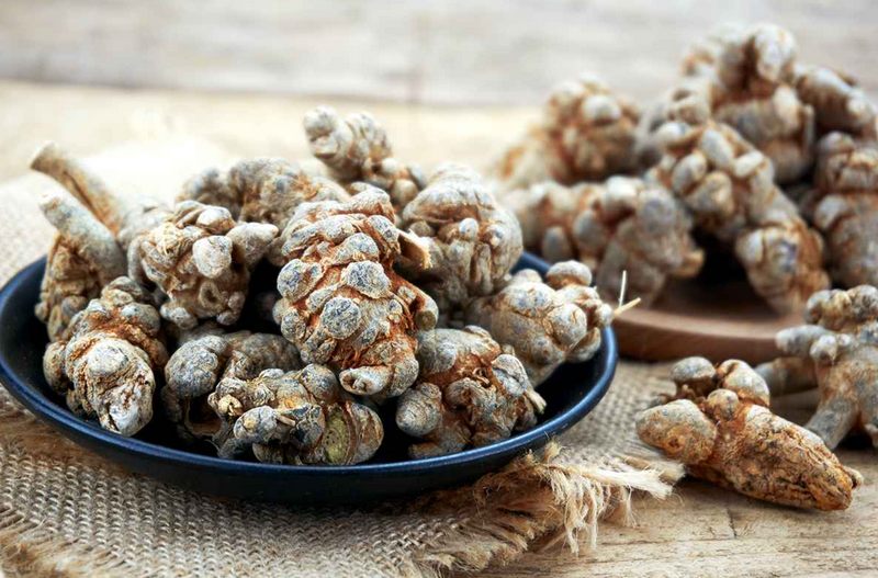 Hỗ trợ cầm máu và phục hồi sau chấn thương