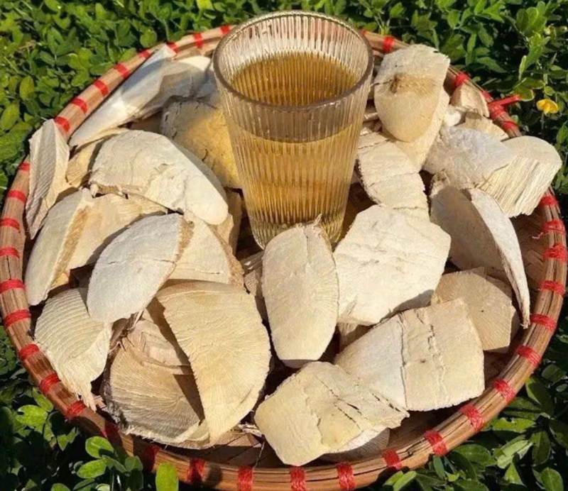 Nguồn gốc và đặc điểm của sâm béo trắng