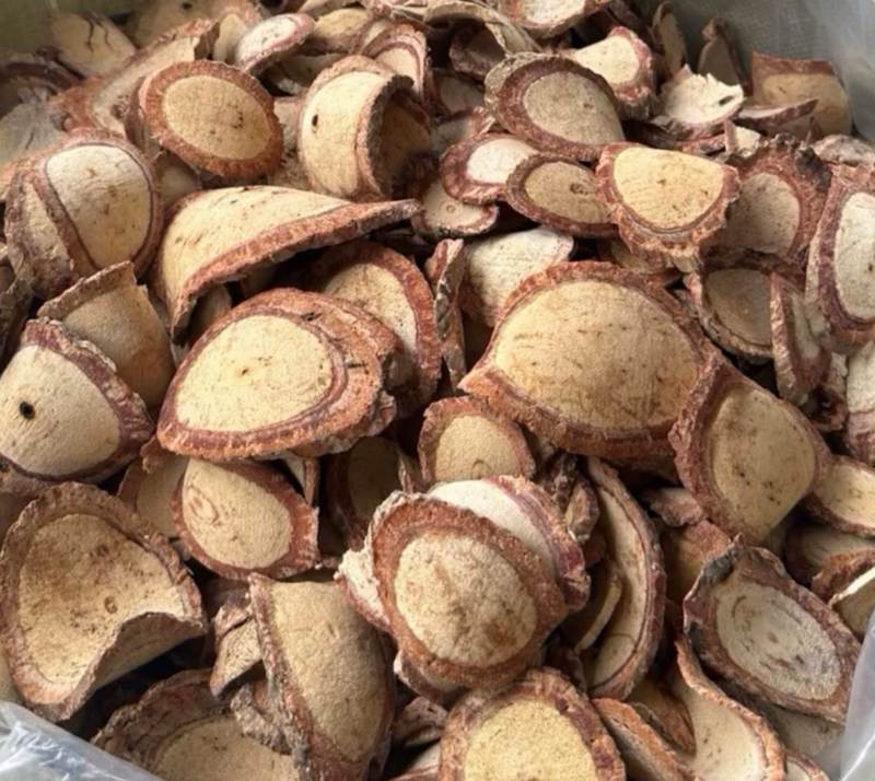 Cách sử dụng sâm béo trắng trong đời sống