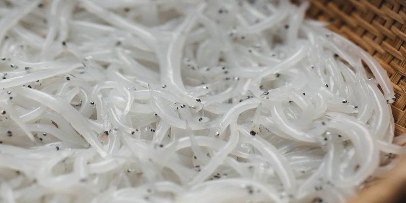 Hãy chọn cá có màu trắng trong tự nhiên