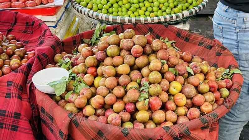 Mận hậu được chế biến thành nhiều món hấp dẫn