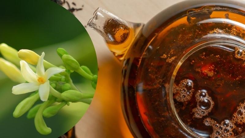 Hoa đu đủ tươi giữ được nhiều vitamin và enzyme hơn hoa khô