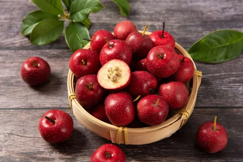 Trong quả sơn trà có chứa nhiều thành phần có lợi