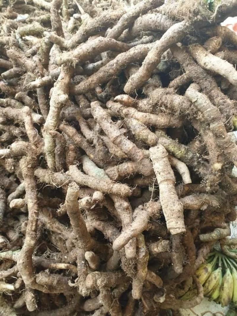 Hãy mua rễ tứn khửn ở địa chỉ uy tín
